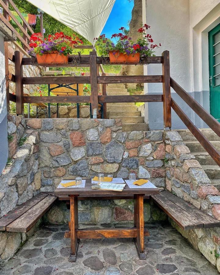 Hotel Rifugio Fornas Tolmezzo Esterno foto