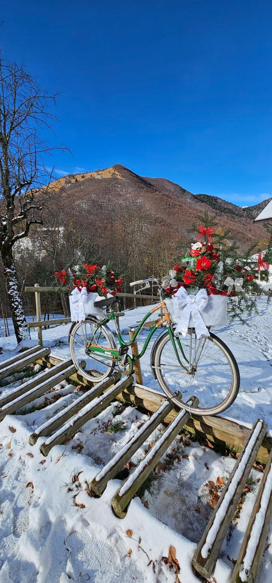 Hotel Rifugio Fornas Tolmezzo Esterno foto